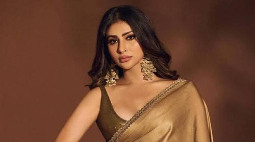 বিচ্ছেদ গুঞ্জনের মাঝেই মৌনীকে নিয়ে নতুন বিতর্ক