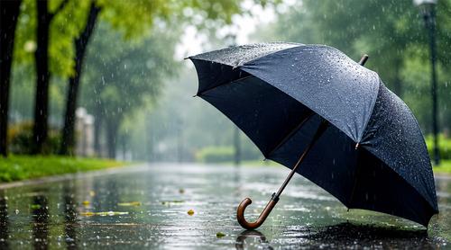 ছাতা কিনতে যাচ্ছেন? শুধু ডিজাইন নয়, নজর দিন এই গুরুত্বপূর্ণ বিষয়গুলোতে