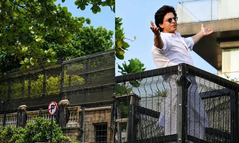 নতুন রূপে সাজছে শাহরুখের স্বপ্নের ঠিকানা ‘মান্নাত’