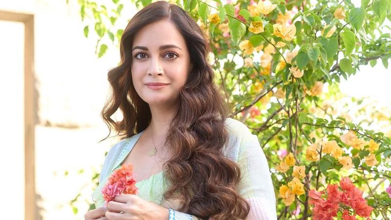 কসমেটিক সার্জারি নিয়ে চাপ দিতেন প্রযোজকরা, মুখ খুললেন দিয়া মির্জা