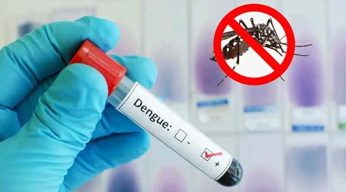 ডেঙ্গুতে ৩ জনের মৃত্যু, হাসপাতালে ভর্তি ৩৭২ জন