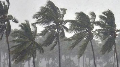 দুপুরের মধ্যে ৭ জেলায় বজ্রসহ বৃষ্টির আশঙ্কা, নদীবন্দরে সতর্কতা