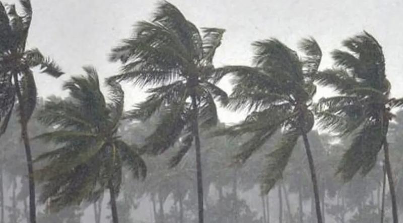 দুপুরের মধ্যে ৭ জেলায় বজ্রসহ বৃষ্টির আশঙ্কা, নদীবন্দরে সতর্কতা