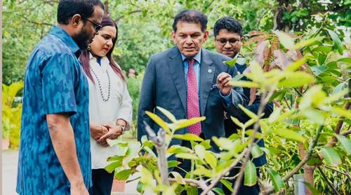 মালদ্বীপকে ২০ হাজার গাছের চারা উপহার দেবে বাংলাদেশ