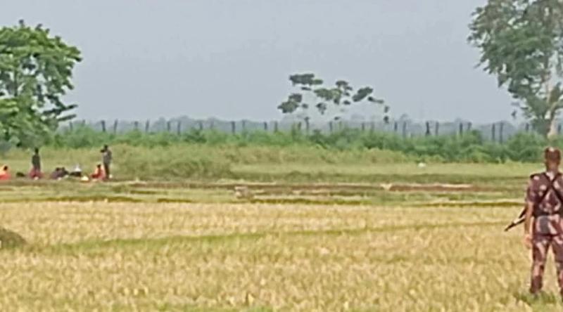বেনাপোল সীমান্তে আইন অমান্য করে বিএসএফের পুশইন চেষ্টা, রুখে দিল বিজিবি