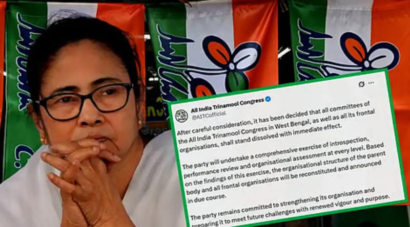 নির্বাচনে ভরাডুবির জেরে অস্তিত্ব সংকটে মমতার দল!