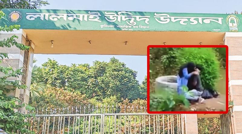 কুমিল্লার সামাজিক বনে অসামাজিক কাজ!