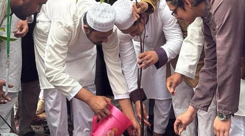 আপনারা পুরো বাংলাদেশকে সবুজায়ন করে দিন : নাসীরুদ্দীন পাটওয়ারী