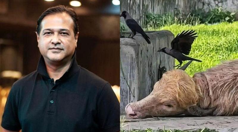 ‘অবুঝ প্রাণীটার প্রতি রহম করুন’