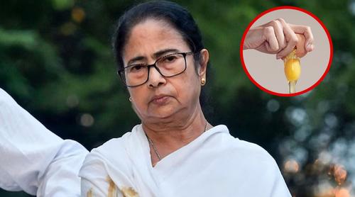 'পচা ডিম' ছোড়ার ভয়ে কাউন্সিলরদের বৈঠক স্থগিত করল মমতা