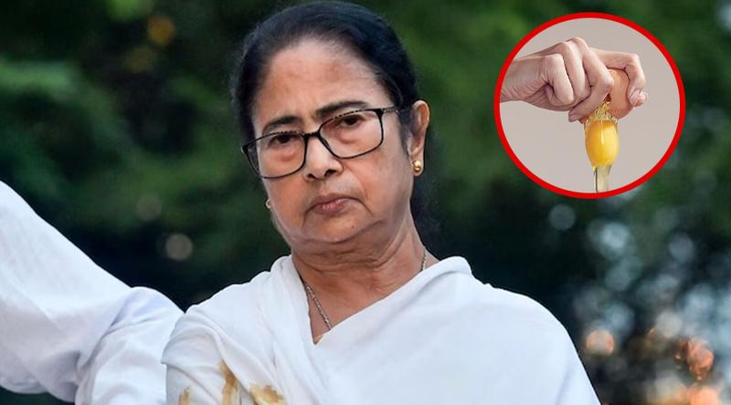 'পচা ডিম' ছোড়ার ভয়ে কাউন্সিলরদের বৈঠক স্থগিত করল মমতা