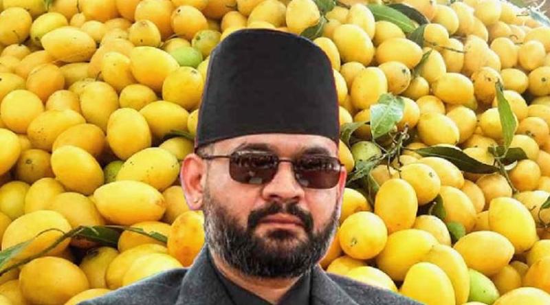 এবার ভারতীয় আমে নিষেধাজ্ঞা দিলো নেপাল
