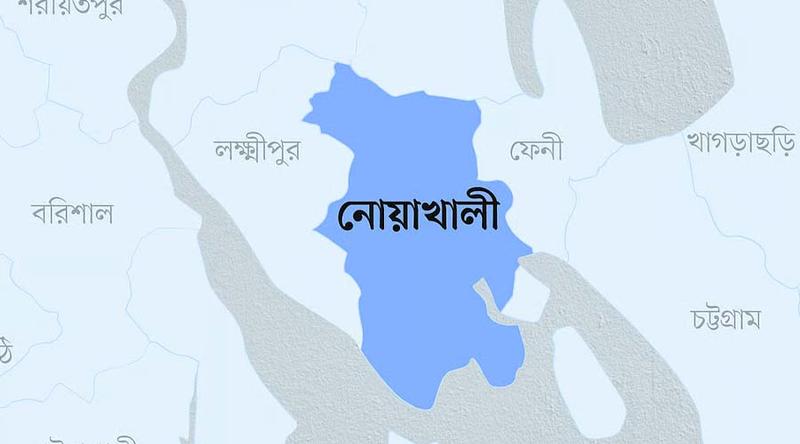 নোয়াখালীতে আরও ১৯ জন নিষিদ্ধ ছাত্রলীগ নেতাকর্মী গ্রেপ্তার