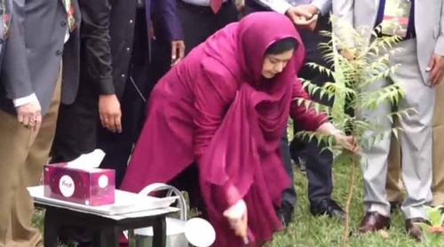 মাসব্যাপী বৃক্ষরোপণ কর্মসূচি উদ্বোধন করলেন ডা. জুবাইদা রহমান