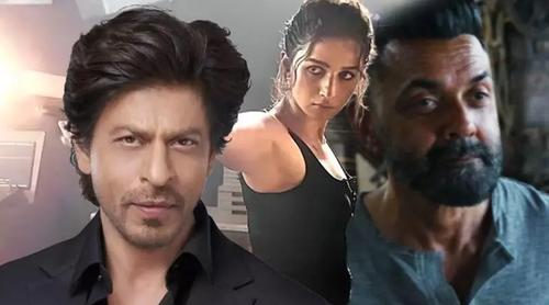 আলিয়ার ‘আলফা’ রূপে মুগ্ধ শাহরুখ, ববিকে দিলেন ফুল মার্কস