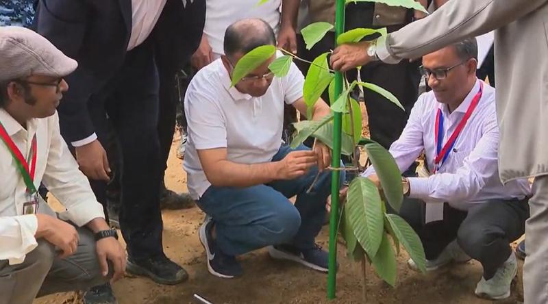 সবাই অন্তত একটি গাছের চারা রোপণ করুন: প্রধানমন্ত্রী