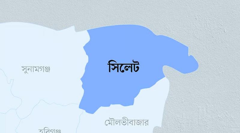 সিলেটে কার্যক্রম নিষিদ্ধ আ. লীগের ঝটিকা মিছিল, আটক ৪
