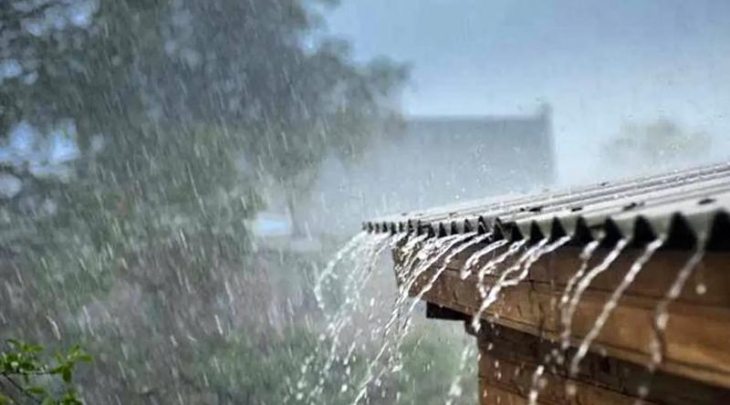 আবারও বৃষ্টি বাড়ার আভাস