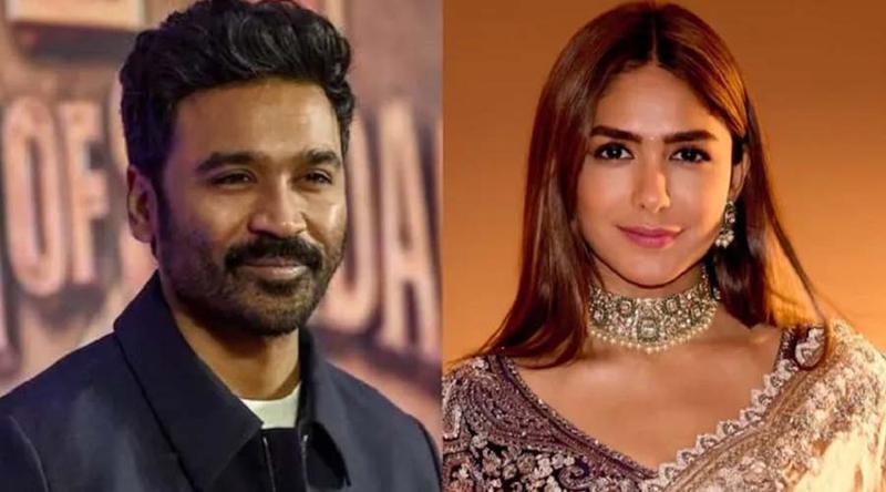 স্বীকৃতি পাওয়ার আগেই বিচ্ছেদের গুঞ্জন ধানুশ-ম্রুণালের