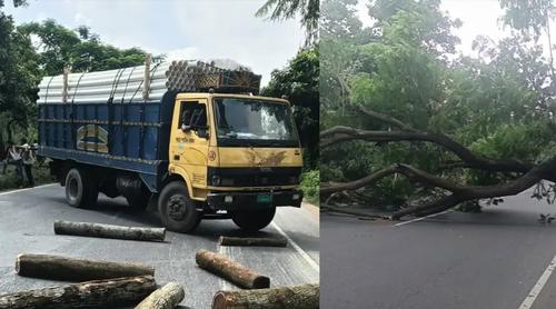 আসলাম চৌধুরীর প্রার্থিতা বাতিলের খবরে গাছ ফেলে মহাসড়ক অবরোধ