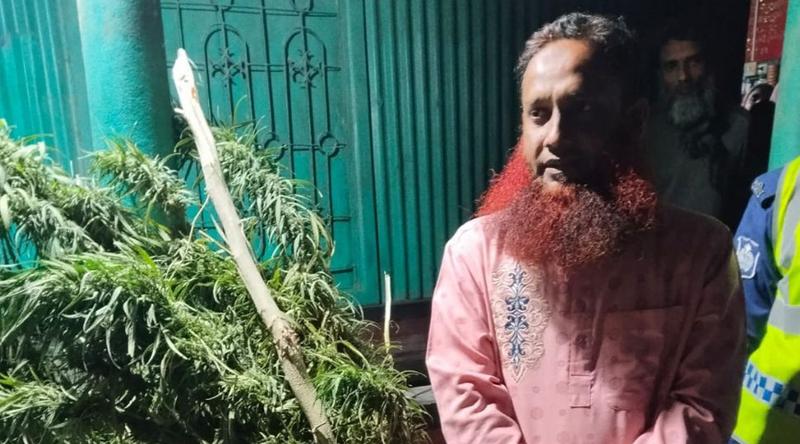 সিরাজগঞ্জে গাঁজা চাষের অভিযোগে শিক্ষক গ্রেপ্তার