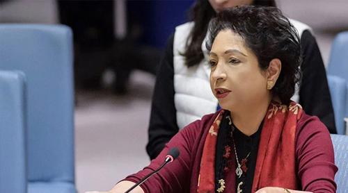 পাকিস্তানকে ‘বোর্ড অব পিস’ ছাড়ার আহ্বান