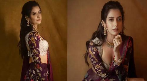 আভিজাত্যপূর্ণ সাজে আলোচনায় কন্নড় অভিনেত্রী আশিকা