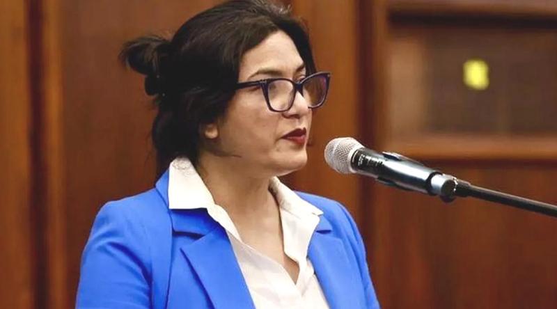 ঠাকুরগাঁও থেকে আসা বিভিন্ন অভিযোগের দ্রুত ব্যবস্থা নেওয়ার হুঁশিয়ারি ফখরুল কন্যার