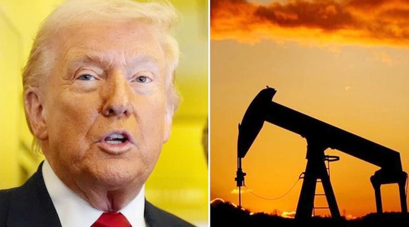 ট্রাম্পের ‘দ্রুত যুদ্ধ শেষ হবে’ ঘোষণার পর তেলের দাম কমল প্রায় ৯ শতাংশ