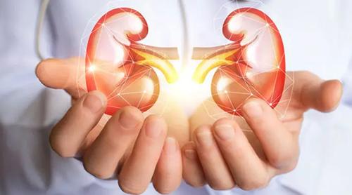 বিশ্ব কিডনি দিবস আজ