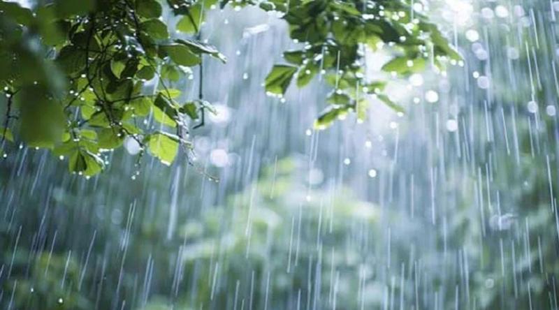 দেশের ৮ বিভাগেই বজ্রবৃষ্টির আভাস, শিলাবৃষ্টির শঙ্কা