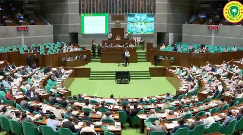 অন্তর্বর্তী সরকারের ১৩৩ অধ্যাদেশ বিশেষ কমিটিতে পাঠালো সংসদ