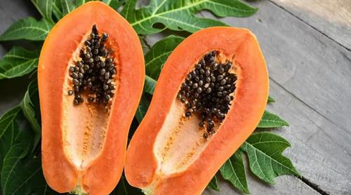 পেঁপের বীজ খেলে কী হয়? জেনে নিন উপকারিতা