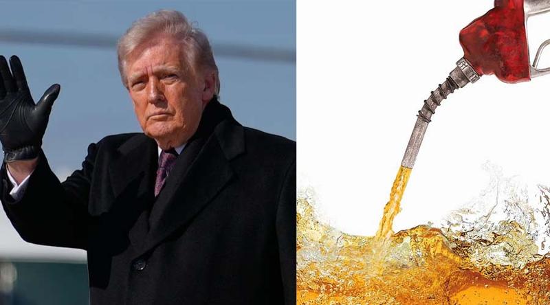 তেলের দাম নিয়ে ট্রাম্পের কৌশল ফাঁস করল ইরান