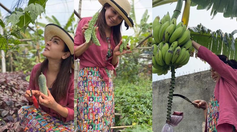 তারকাখ্যাতির বাইরে হাতে কাস্তে নিয়ে এক অন্য জয়া!