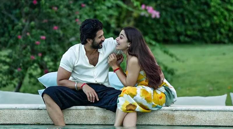 একান্ত সফরের বদলে বন্ধুদের সঙ্গে সময় কাটালেন বিজয় ও রাশমিকা!