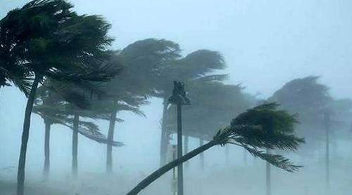 সকাল ৯টার মধ্যে ২ অঞ্চলে ৬০ কিমি বেগে ঝড়ের আভাস