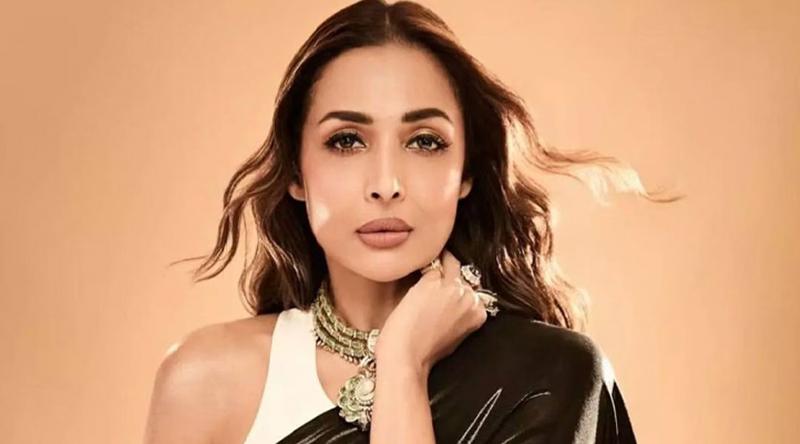 একাধিক পুরুষের সঙ্গে প্রেমের গুঞ্জন নিয়ে মুখ খুললেন মালাইকা