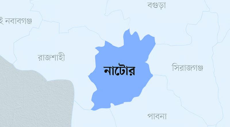 নাটোরে ট্রাকের ধাক্কায় ইজিবাইক চালক নিহত