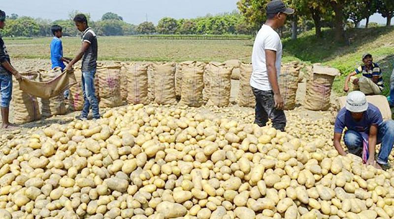 ভিয়েতনামে আলু রপ্তানির অনুমতি পেল বাংলাদেশ