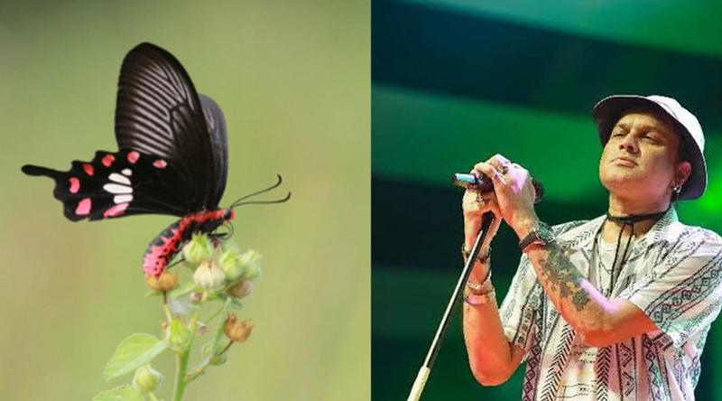 প্রয়াত সংগীতশিল্পী জুবিন গার্গ-এর নামে প্রজাপতির নামকরণ!