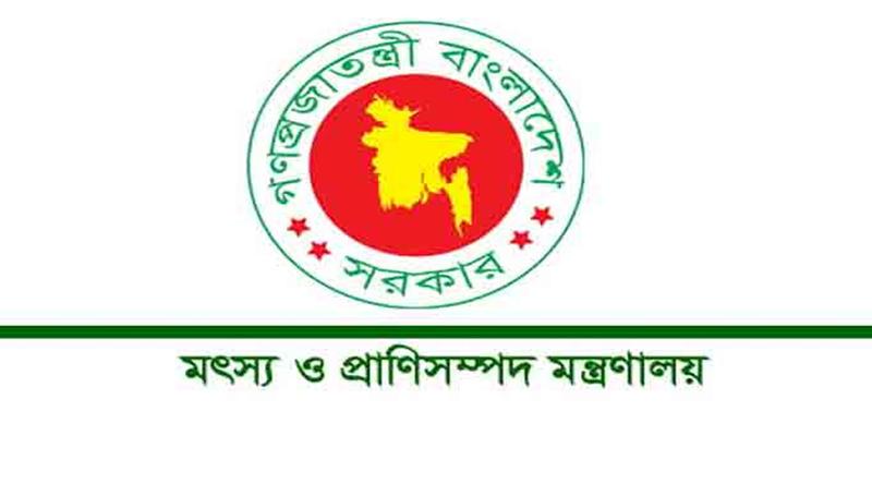 ভারত থেকে গরু আমদানির অনুমতিপত্রের বিষয়ে নতুন বার্তা দিলো প্রাণিসম্পদ অধিদপ্তর