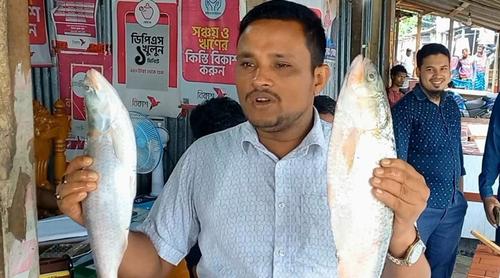 মেঘনা থেকে ধরা ২ রাজা ইলিশের দাম ১০ হাজার!