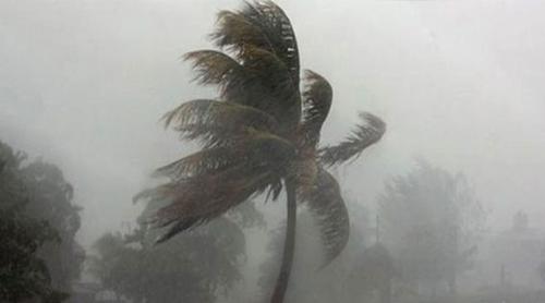 সকালের মধ্যেই ৭ জেলায় ঝড়-বৃষ্টির আশঙ্কা