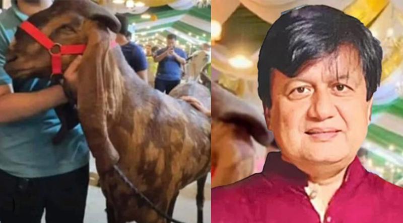 ‘ছাগলকাণ্ডে’র মতিউরের বিরুদ্ধে অভিযোগ গঠন ৫ জুলাই