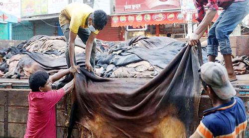 দেশে কুরবানির পশুর চামড়ার দাম নির্ধারণ