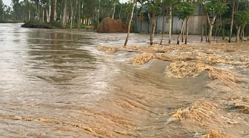 শেরপুরে চেল্লাখালী নদীর ১৫০ মিটার বাঁধে ভাঙন, নিম্নাঞ্চল প্লাবিত