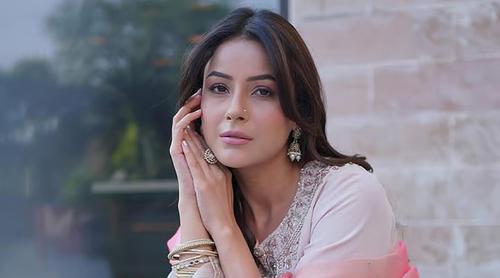 শেহনাজ গিলকে ঘিরে নতুন প্রেমের গুঞ্জন