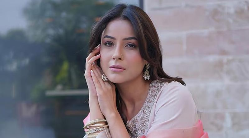 শেহনাজ গিলকে ঘিরে নতুন প্রেমের গুঞ্জন