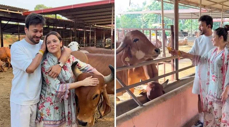 বেঙ্গালুরুতে গরুর সেবায় তারকা দম্পতি অঙ্কিতা লোখান্ডে ও ভিকি